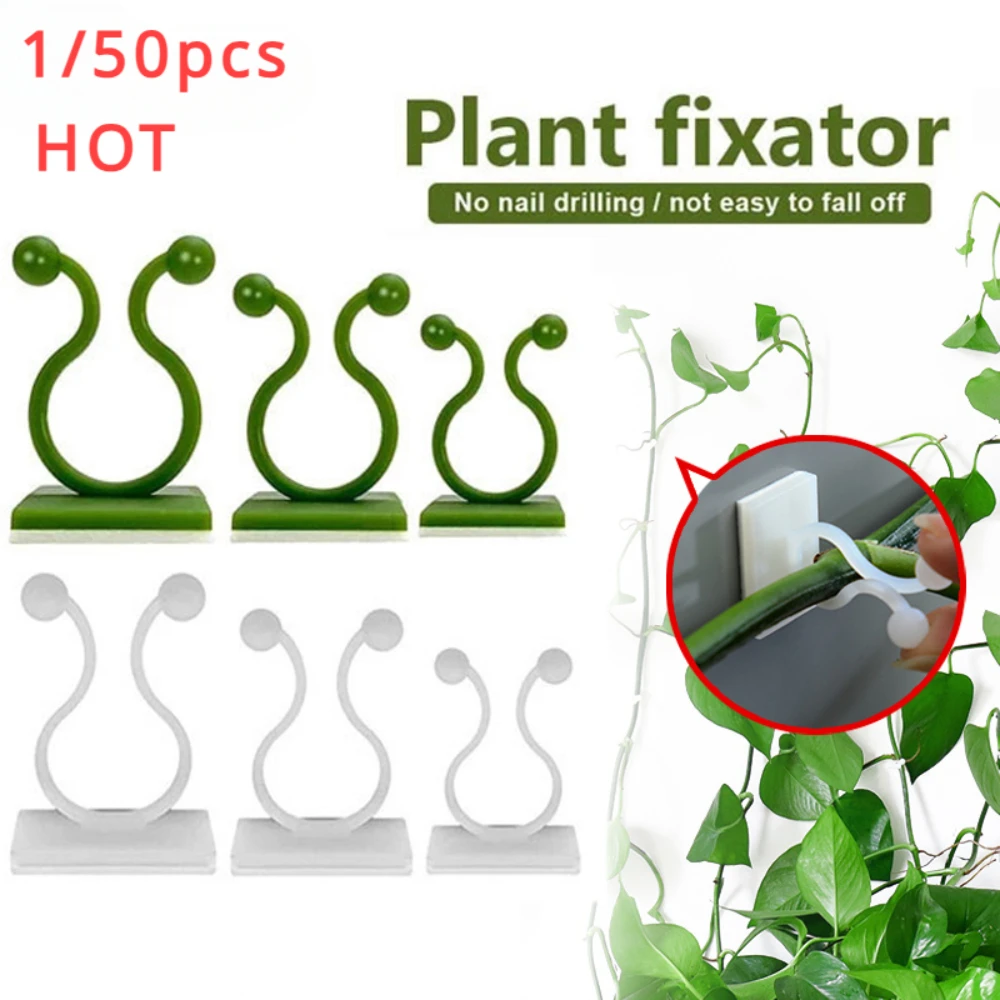 Plant Support Stake - 1/30/50 buah untuk pot taman &