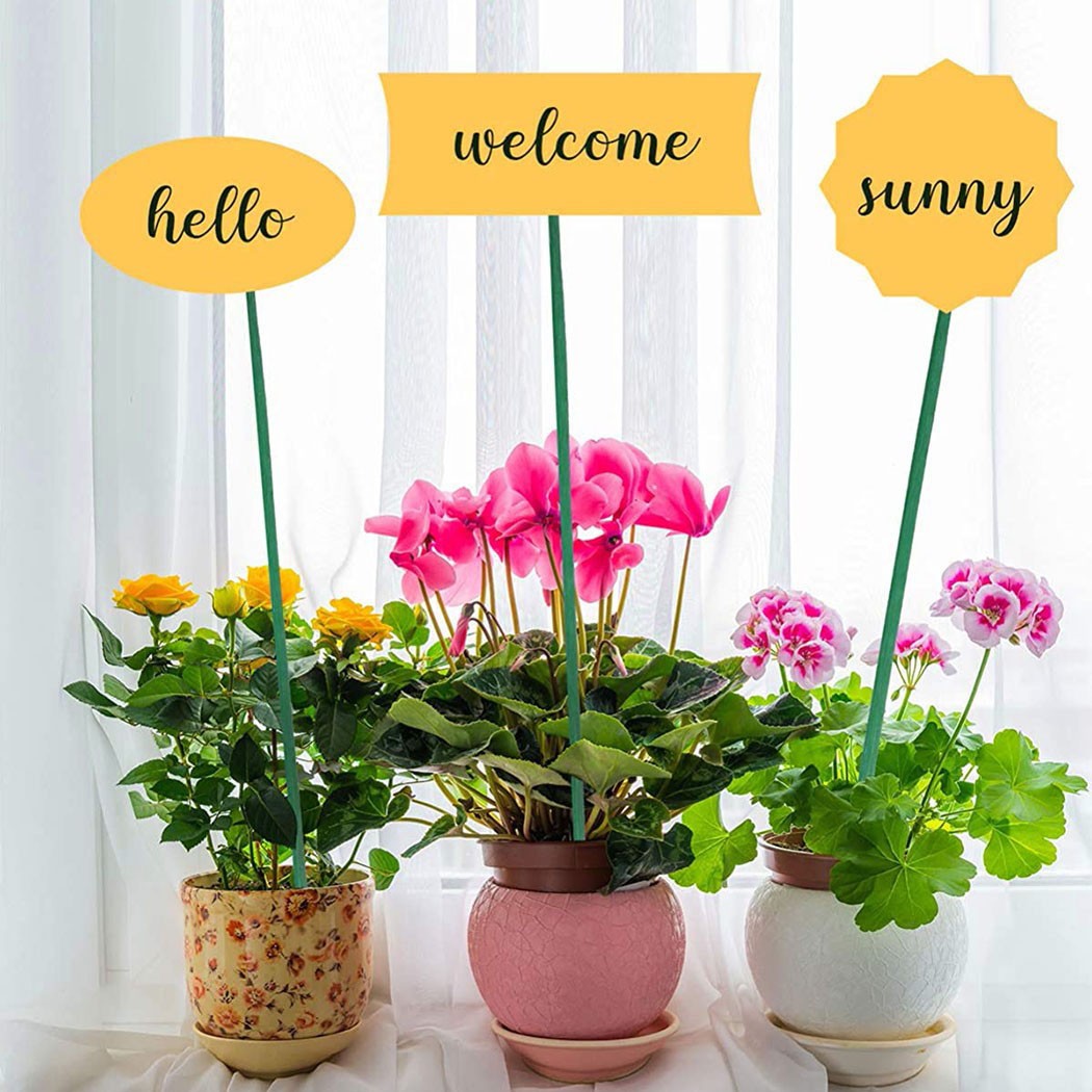10 Buah 40Cm Tongkat Penyangga - Plant Support Stake ulasan dan harga