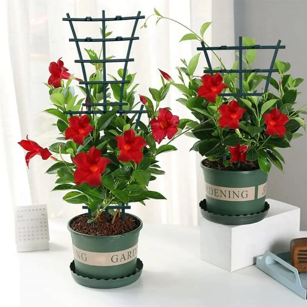 2/8pcs Rangka Penyangga Tanama - Terracotta Pot ulasan dan harga
