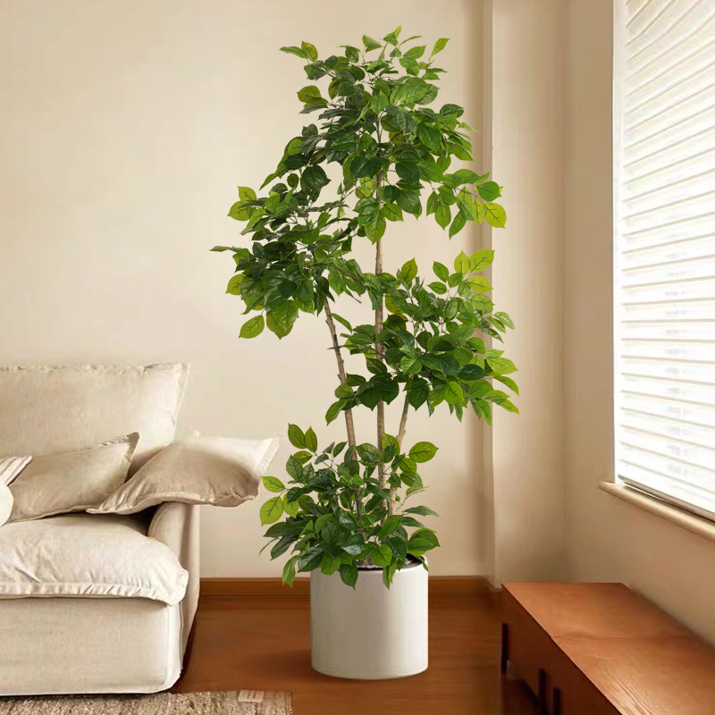 2-78in Tanaman Palsu Besar Bua - Fiddle Leaf Fig ulasan dan harga
