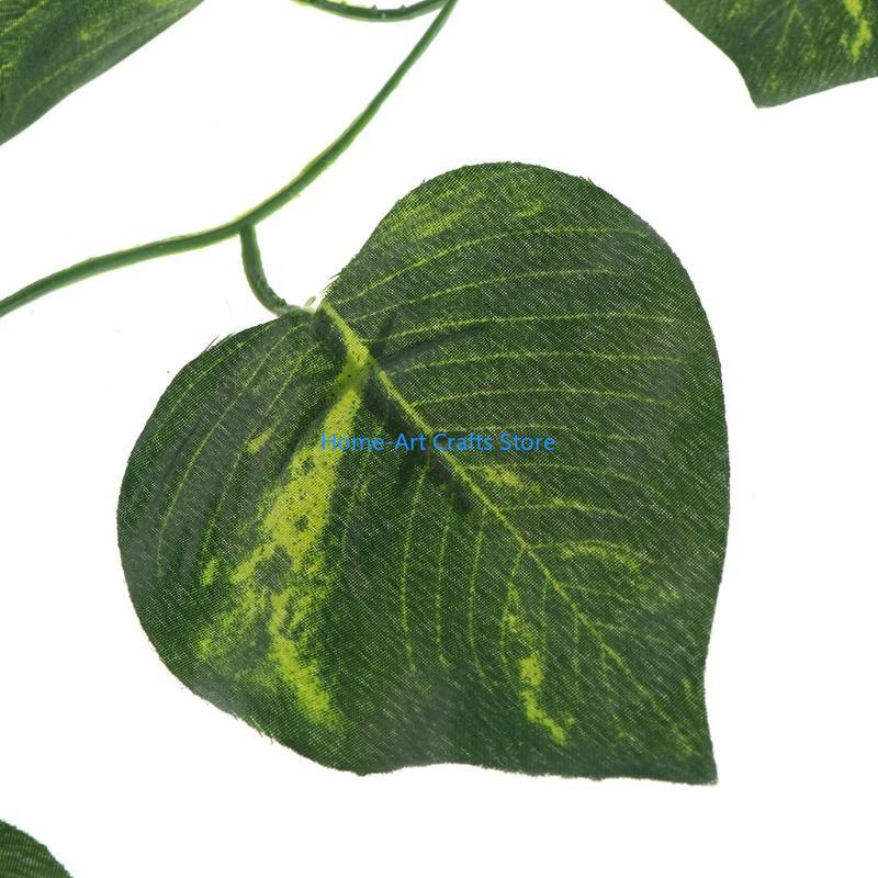 Y3NA untuk Dekorasi Lansekap T - Snake Plant ulasan dan harga