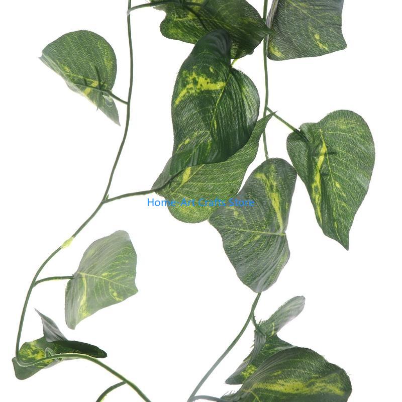 Y3NA untuk Dekorasi Lansekap T - Snake Plant ulasan dan harga