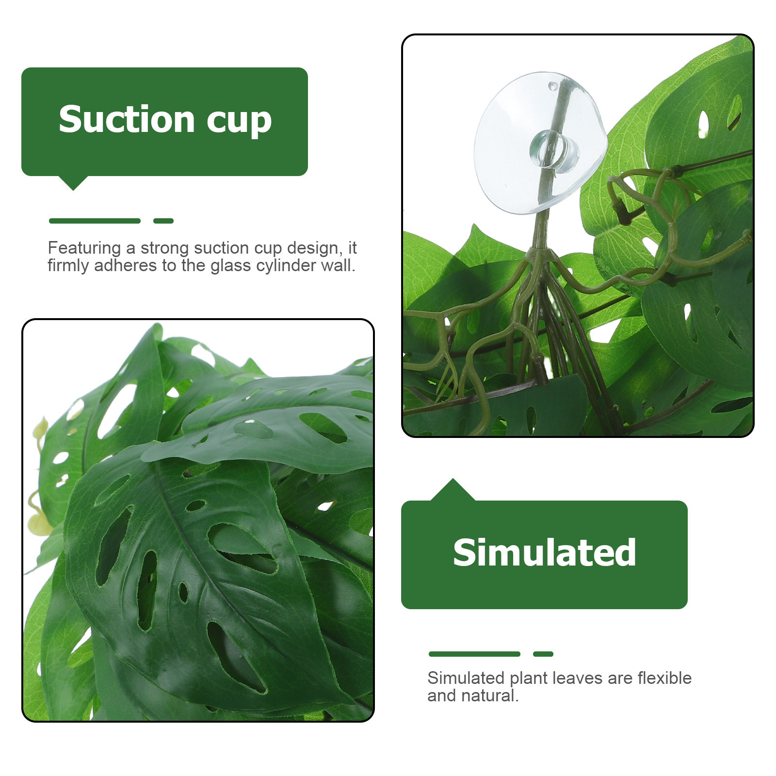 Dekorasi Habitat Reptil, Tanam - Snake Plant ulasan dan harga