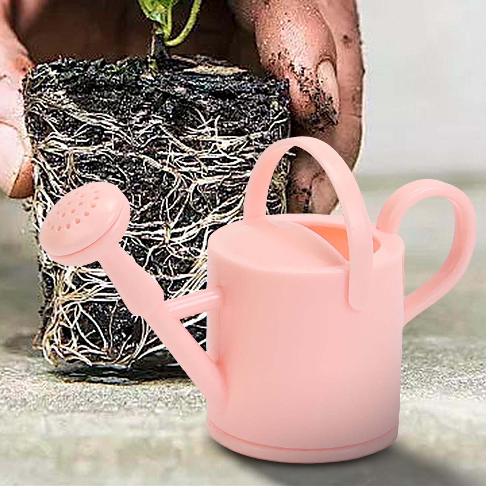 Kaleng Penyiram Anak Kecil, Al - Succulent Set ulasan dan harga