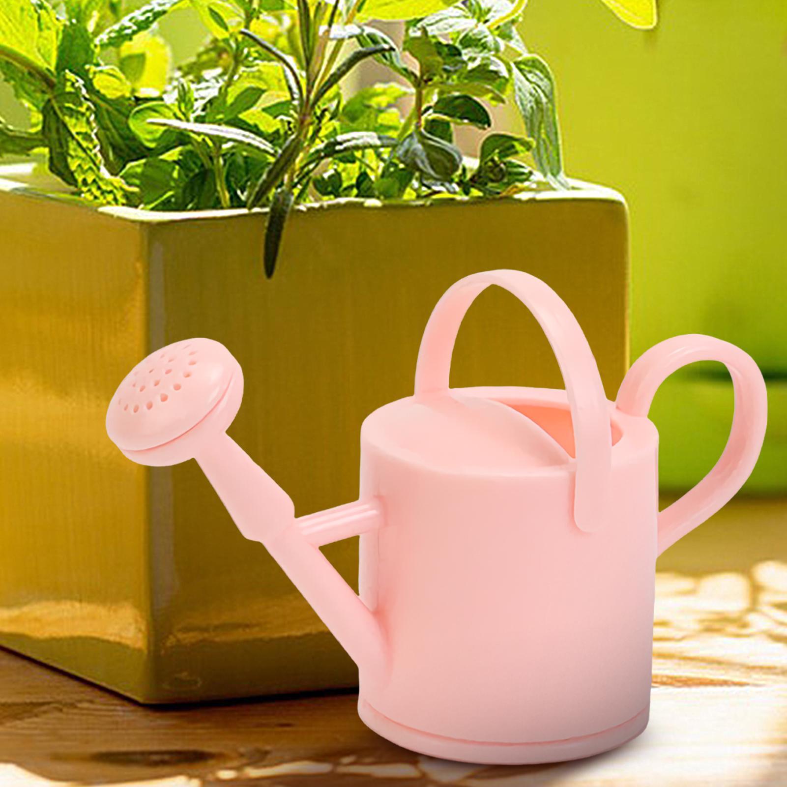 Kaleng Penyiram Anak Kecil, Al - Succulent Set ulasan dan harga