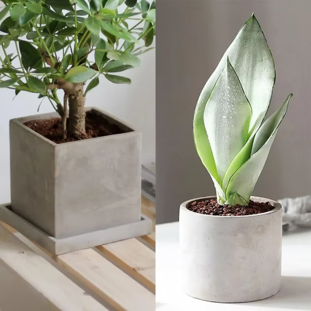 Cetakan Silikon Pot Bunga Beto - Succulent Set ulasan dan harga