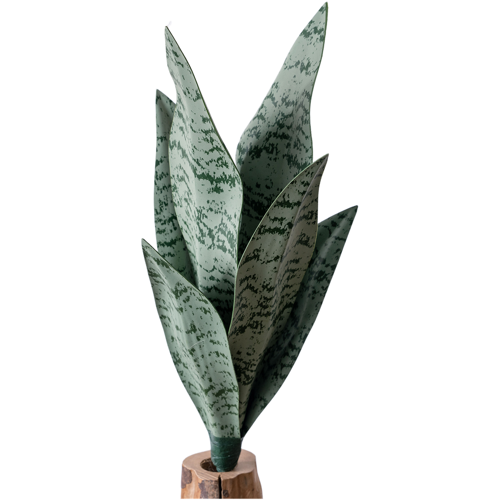 Tanaman Ubur-Ubur Buatan dari  - Snake Plant ulasan dan harga