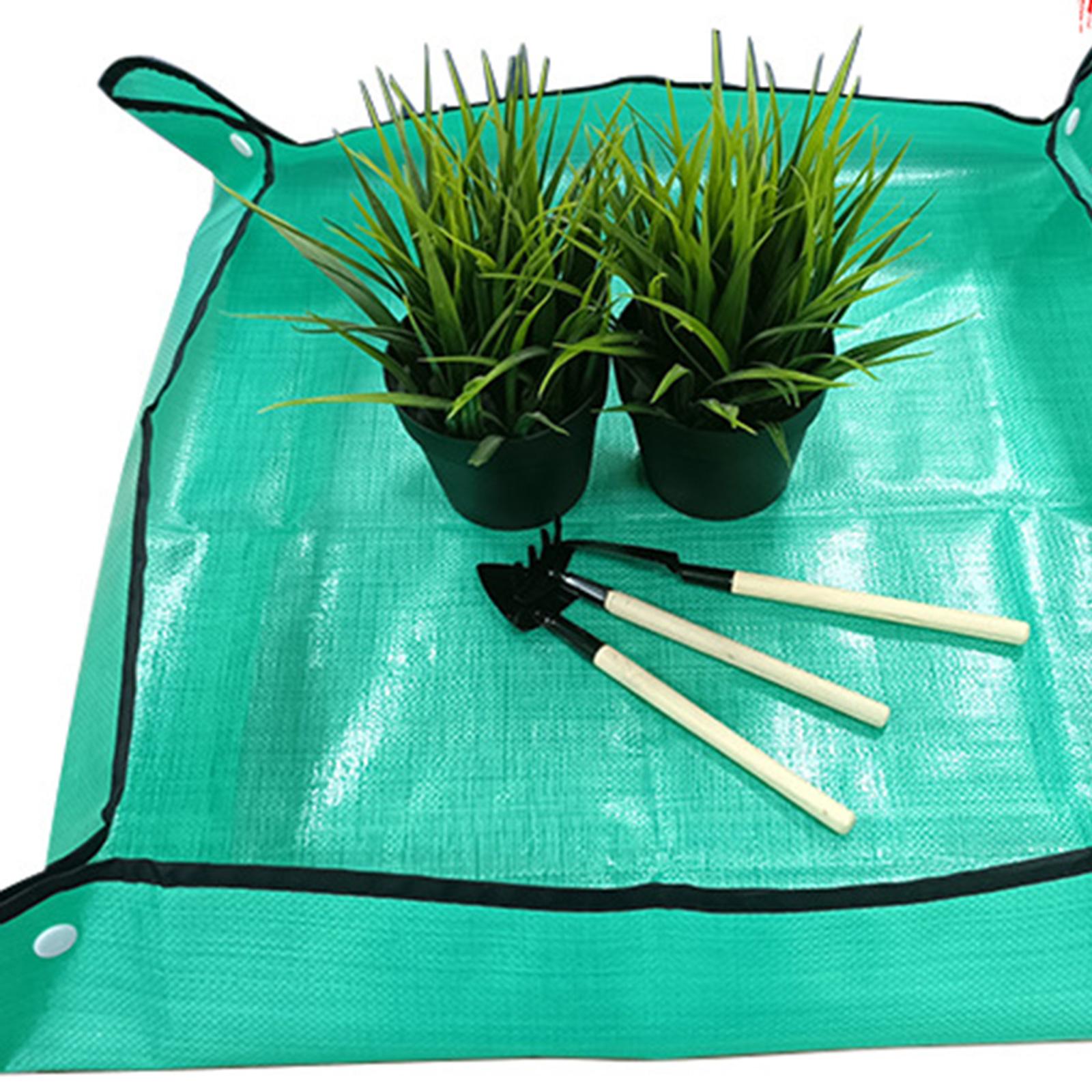Alas untuk Memindahkan Tanaman - Repotting Mat ulasan dan harga