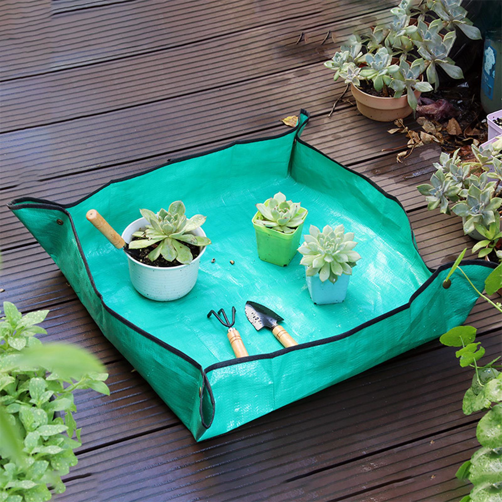 Alas untuk Memindahkan Tanaman - Repotting Mat ulasan dan harga