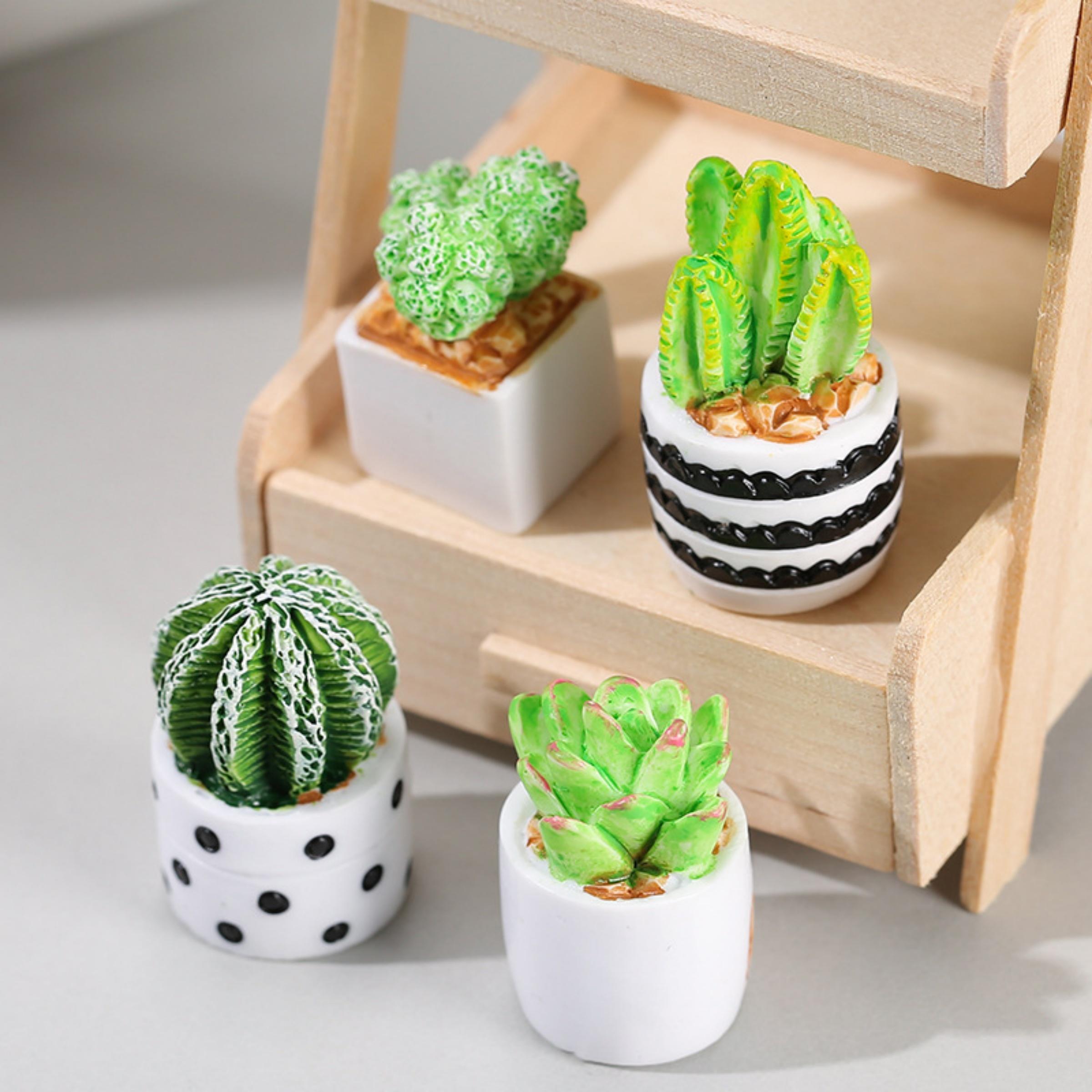 Set 4-Potong Tanaman Sukulen K - Succulent Set ulasan dan harga