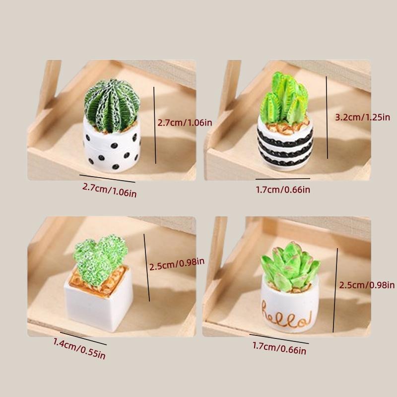 Set 4-Potong Tanaman Sukulen K - Succulent Set ulasan dan harga