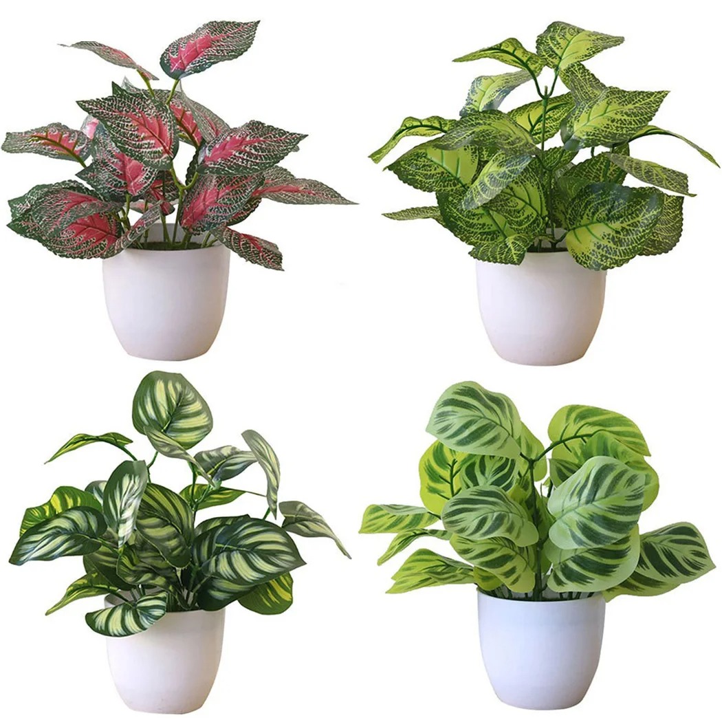 1 Buah Pot Tanaman Dedaunan Bu - Snake Plant ulasan dan harga