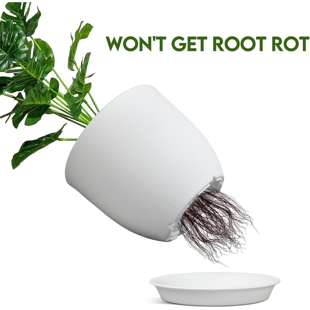 Set Pot Tanaman 8 Inci Isi 2 d - Indoor Plants ulasan dan harga