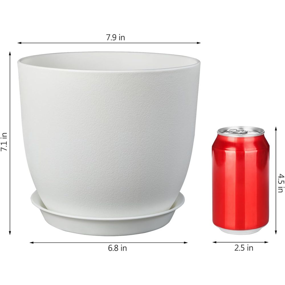 Set Pot Tanaman 8 Inci Isi 2 d - Indoor Plants ulasan dan harga