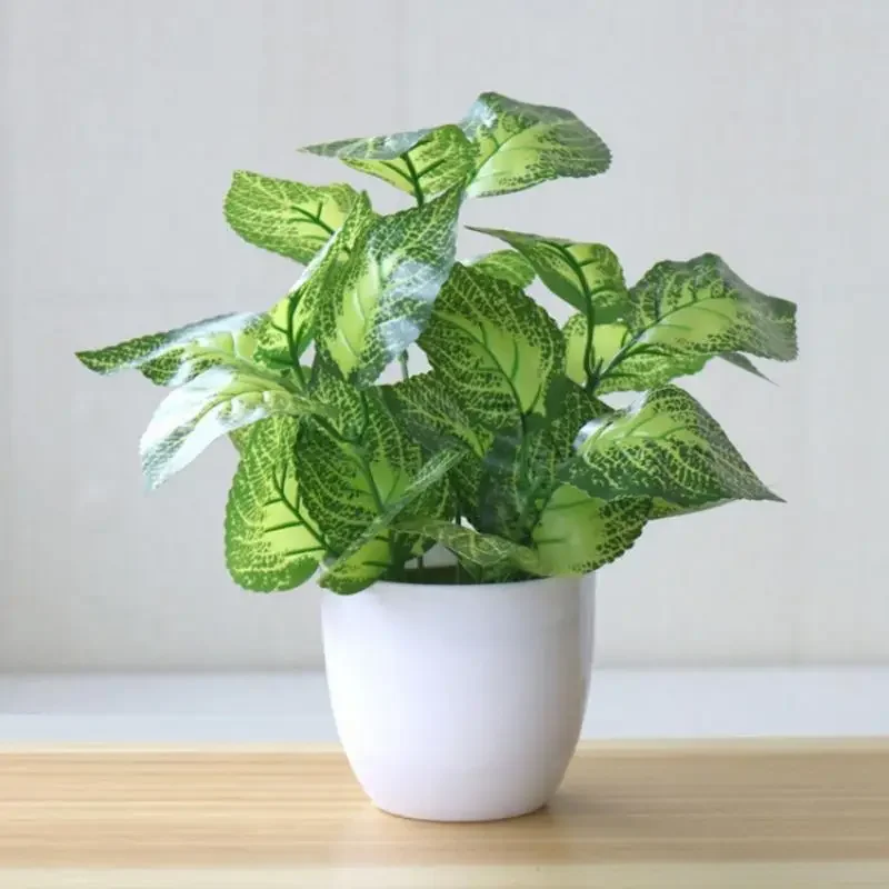 Tanaman Buatan, Bonsai, Tanama - Snake Plant ulasan dan harga